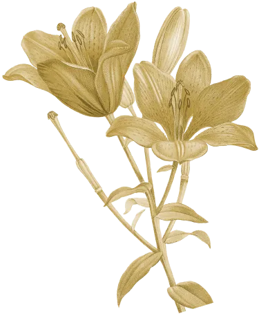 floral-1
